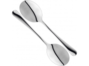 Judge Windsor Serving Spoon Set (2 piece)